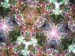 aDCP_5224