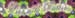 bookmark1
