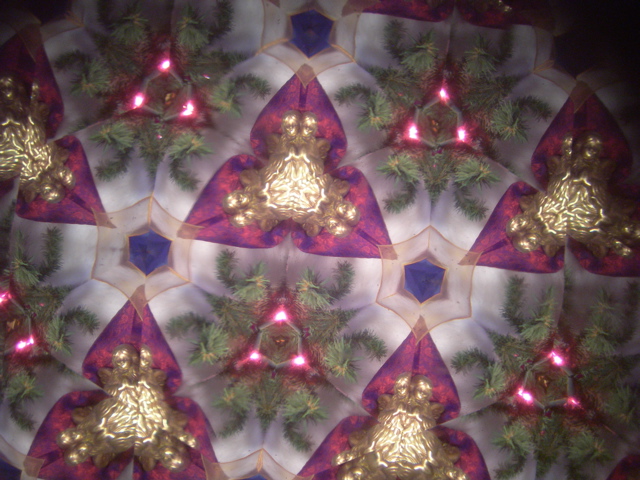 DSCN3266