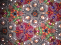 DSCN2827