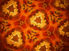 DSCN3134