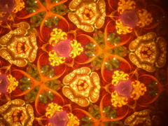 DSCN3173