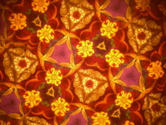 DSCN3177