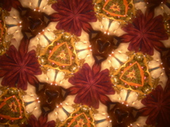 DSCN3190