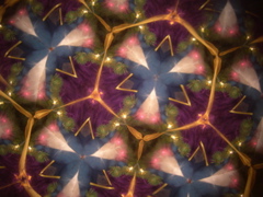 DSCN3210