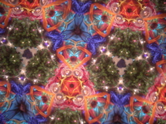 DSCN2872