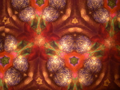 DSCN2885