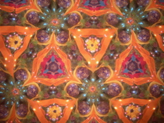 DSCN3049